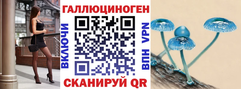 что такое наркотик  Первомайск  Псилоцибиновые грибы Psilocybe 